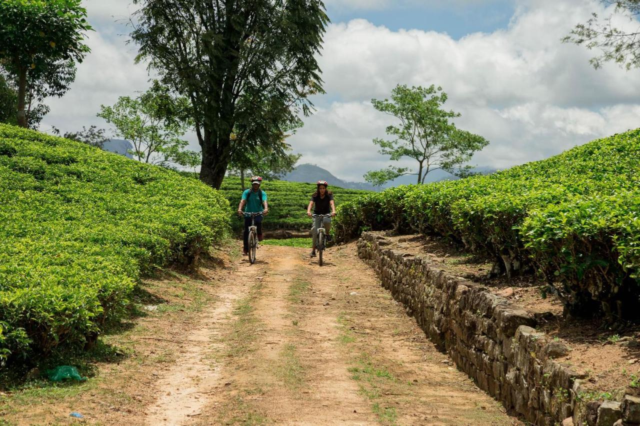 Ceylon Tea Trails - Relais And Chateaux Hatton Exteriör bild